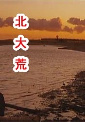 九九九精品午夜在线观看